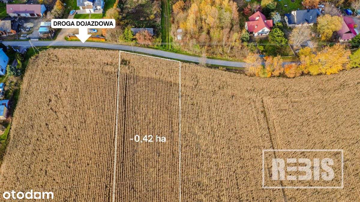 Eng| Działka Budowlano-Rolna, Tłuczań, 42a - Pełny obrazek: 4/10