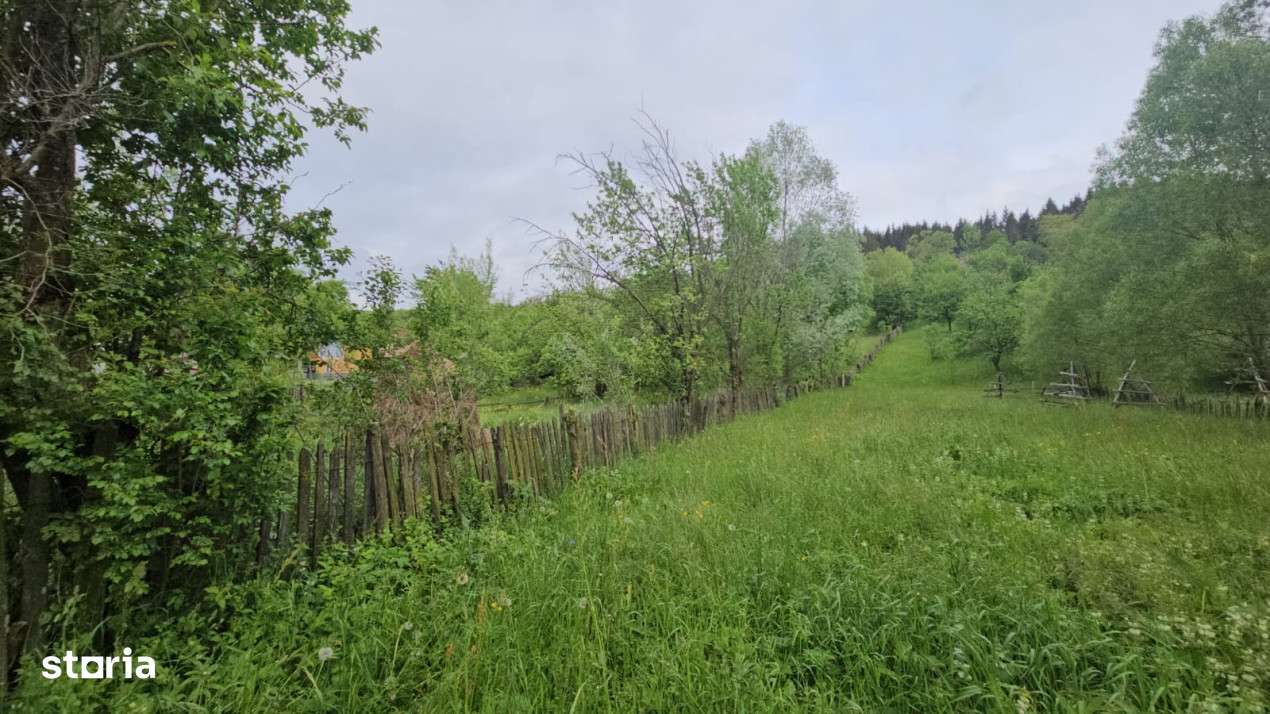 TEREN VANZARE VALEA DOFTANEI - Imagine principală: 2/6