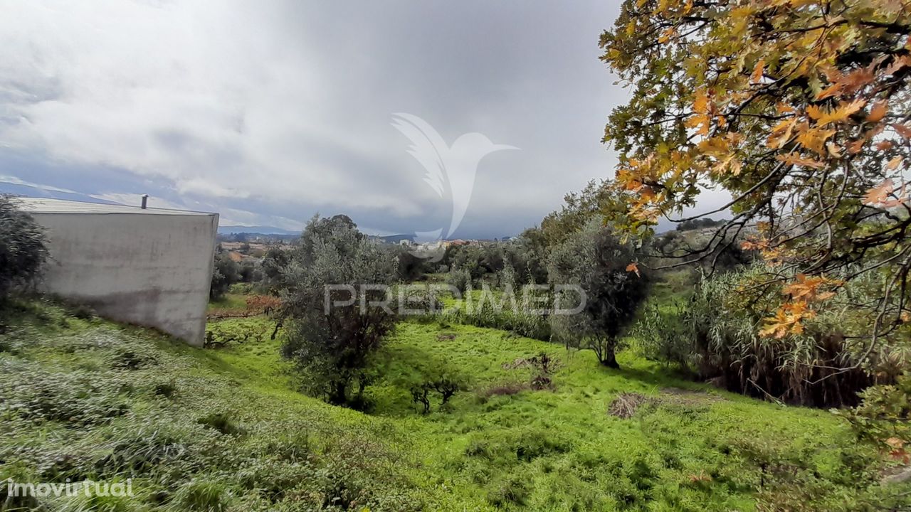 Terreno Urbano em Tortosendo