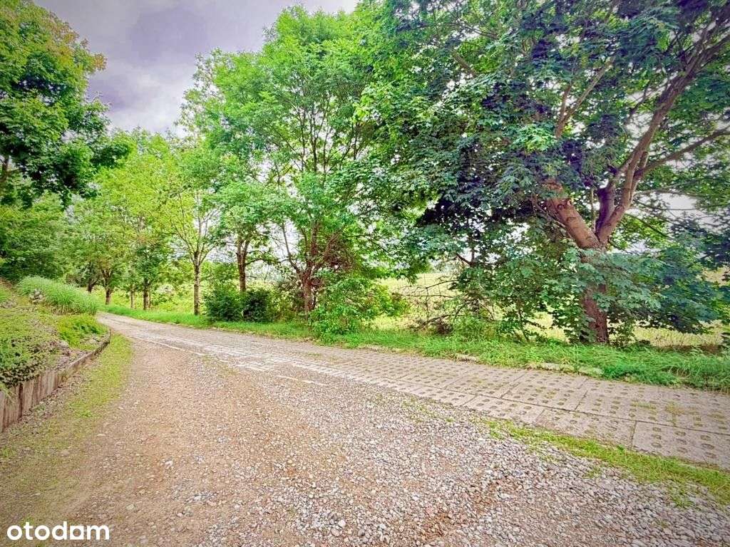 Działka, 6 000 m², Demlin-4