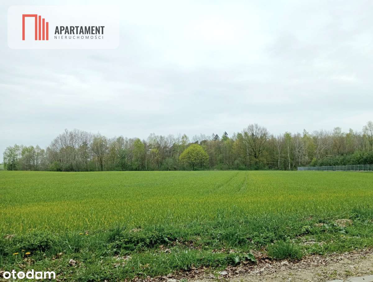 Cicha okolica, przy ścianie lasu! - Pełny obrazek: 5/6