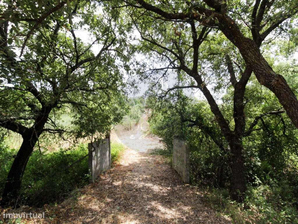 Moradia V2 Terreno Poço-31