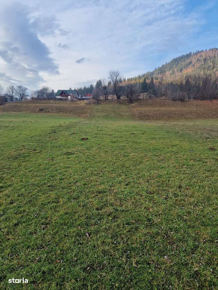 Vindem teren 1192 mp Bucovina - Imagine principală: 4/5