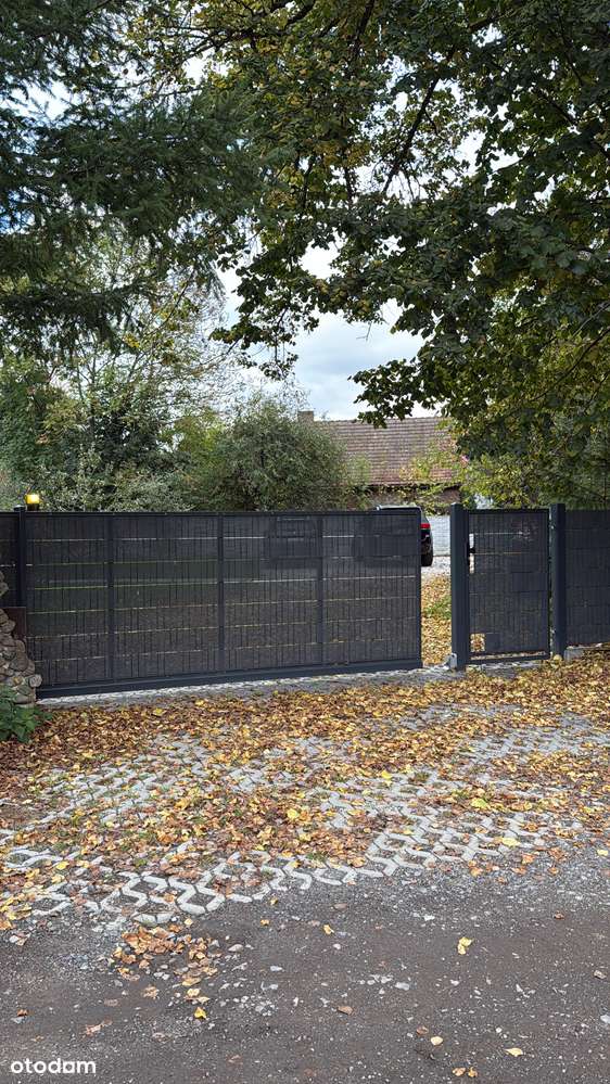 Działka budowlana z domkiem drewnianym - Pełny obrazek: 4/9