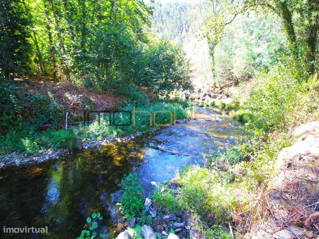 Quinta Isolada com Margem de Rio e Potencial de Eco-Retiro - Arouca-48