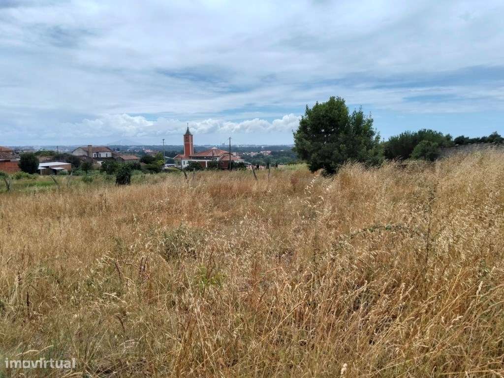 Terreno para construção de moradia - Fermelã / Estarreja-3