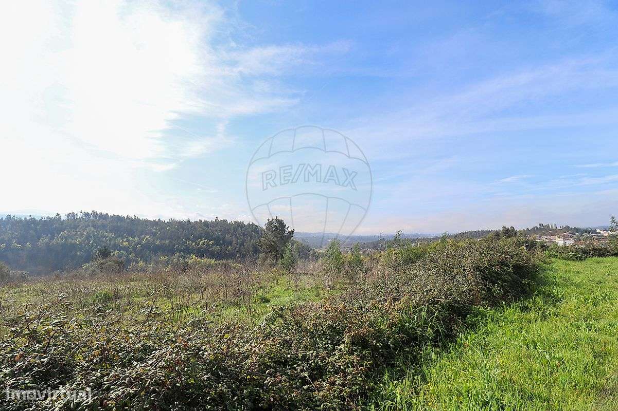 Terreno  para venda - Grande imagem: 5/6