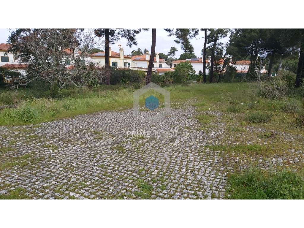 Terreno para Serviços - Grande imagem: 4/15