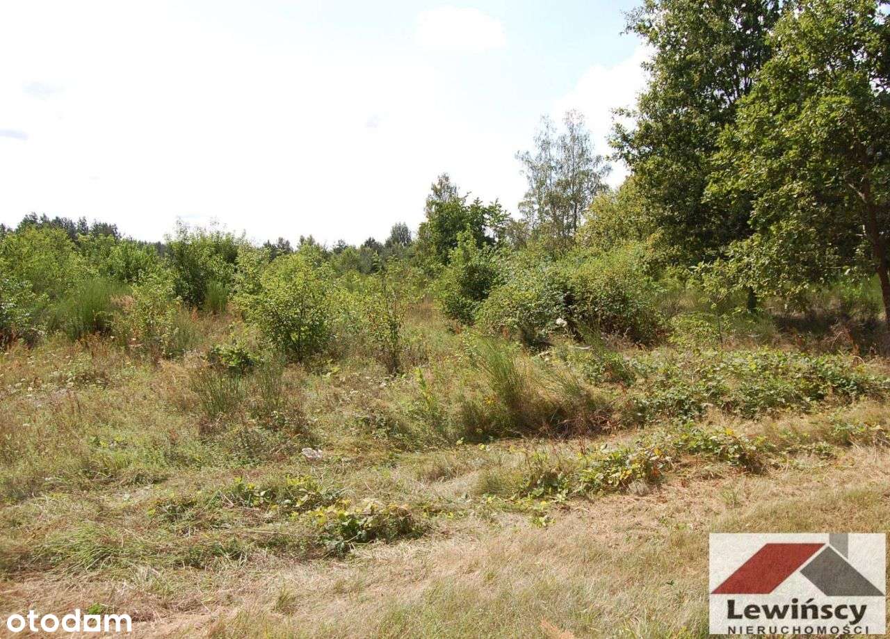 Piotrkowice - Gmina - Zabia Wola-3