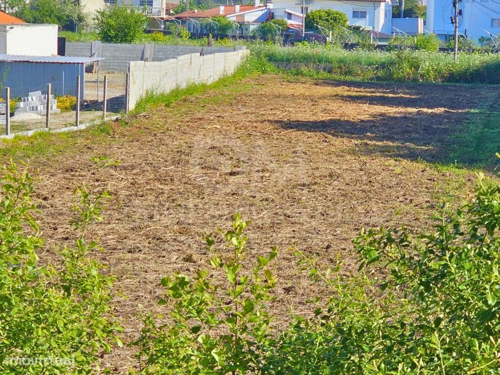 Oportunidade de Investimento Agrícola: Terreno de 1.800 m² com Pote... - Grande imagem: 4/10