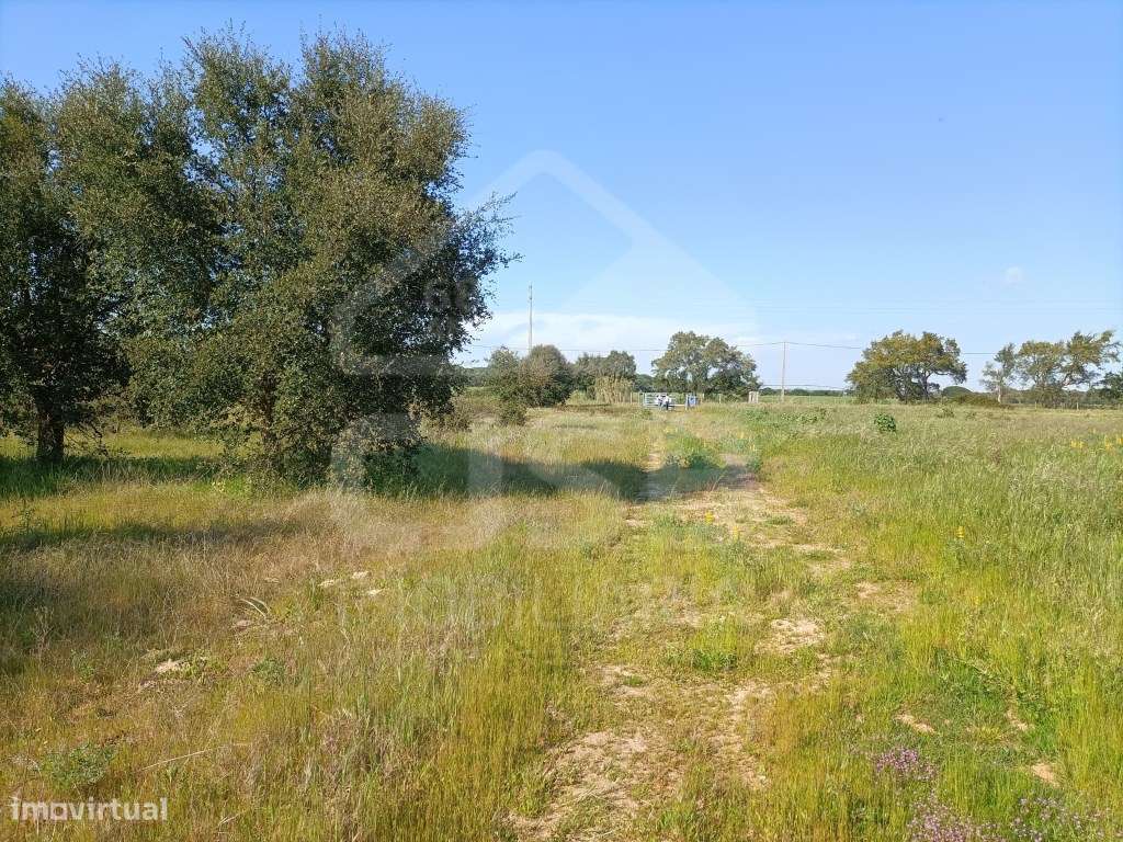 Terreno Foros da Charneca-8
