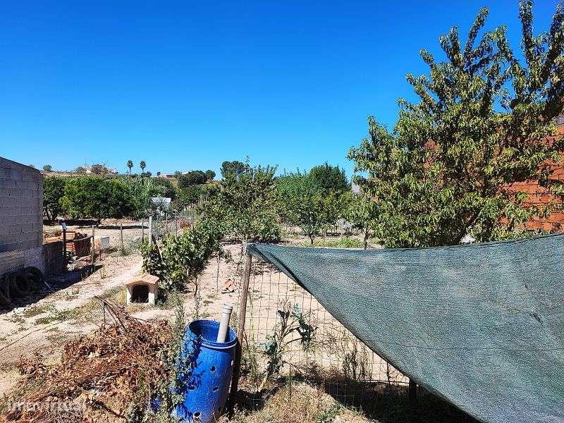 Quintinha T3 recente em Vila Chã de Ourique, Cartaxo - Grande imagem: 5/17