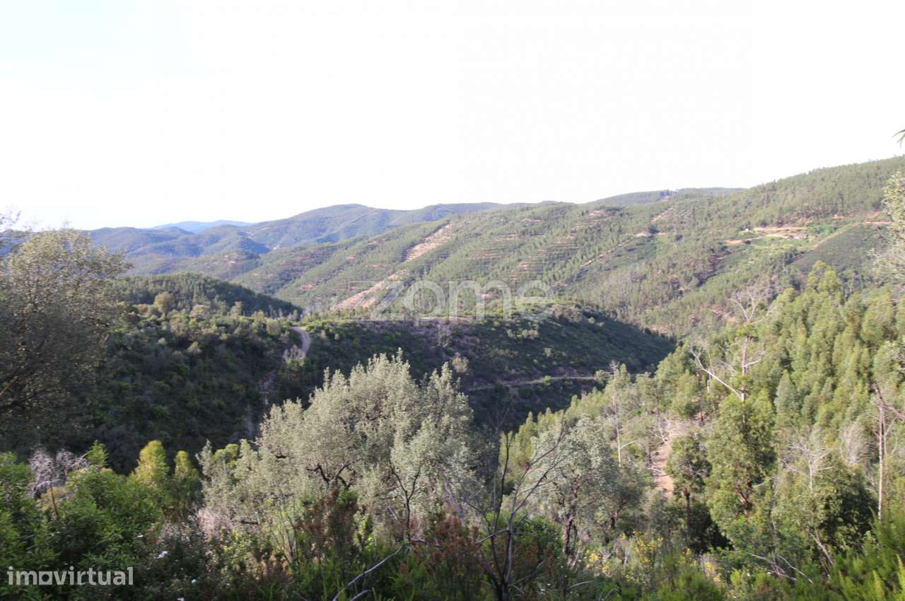 Terreno Rustico em Portalinhos - Monchique - Grande imagem: 2/23