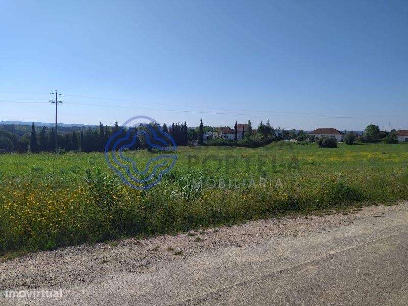 Terreno com 13.700m2 a 5 minutos da cidade de Tomar - Grande imagem: 4/19
