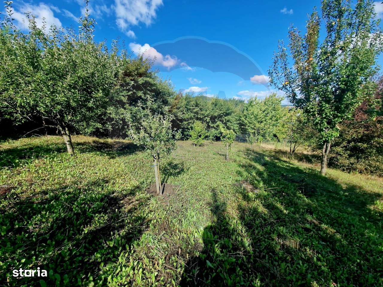 Teren 2,000mp Piatra-Neamt / Strada Pietrelor - Imagine principală: 2/20