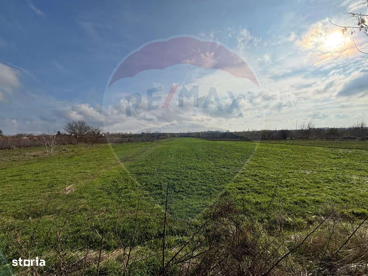 Teren 7094 mp Buftea poziție excelentă vizavi de parc, acces asfaltat - Imagine principală: 4/11