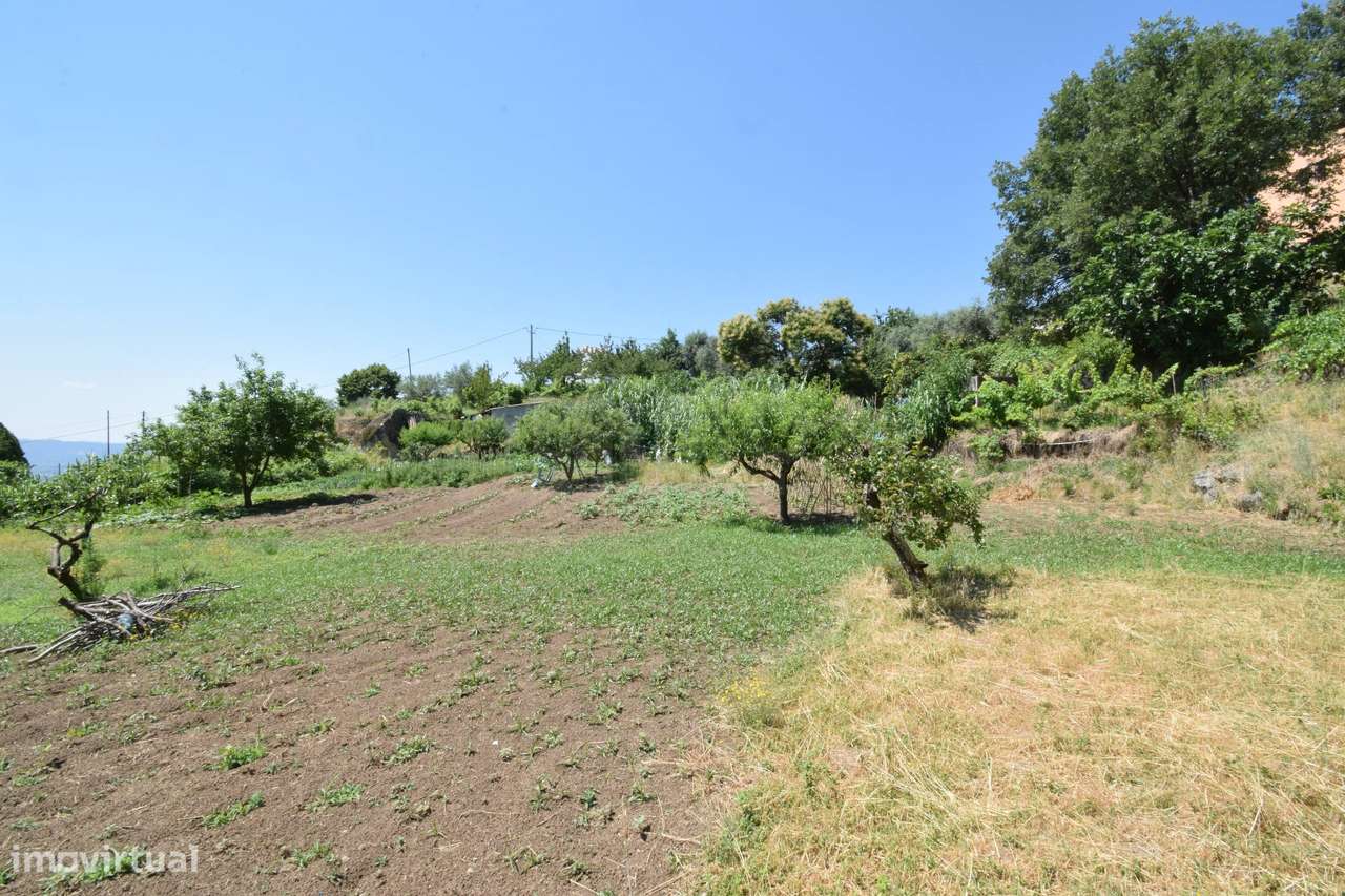 Terreno com 4.522 m² e Viabilidade de Construção - Vila do Carvalho-32