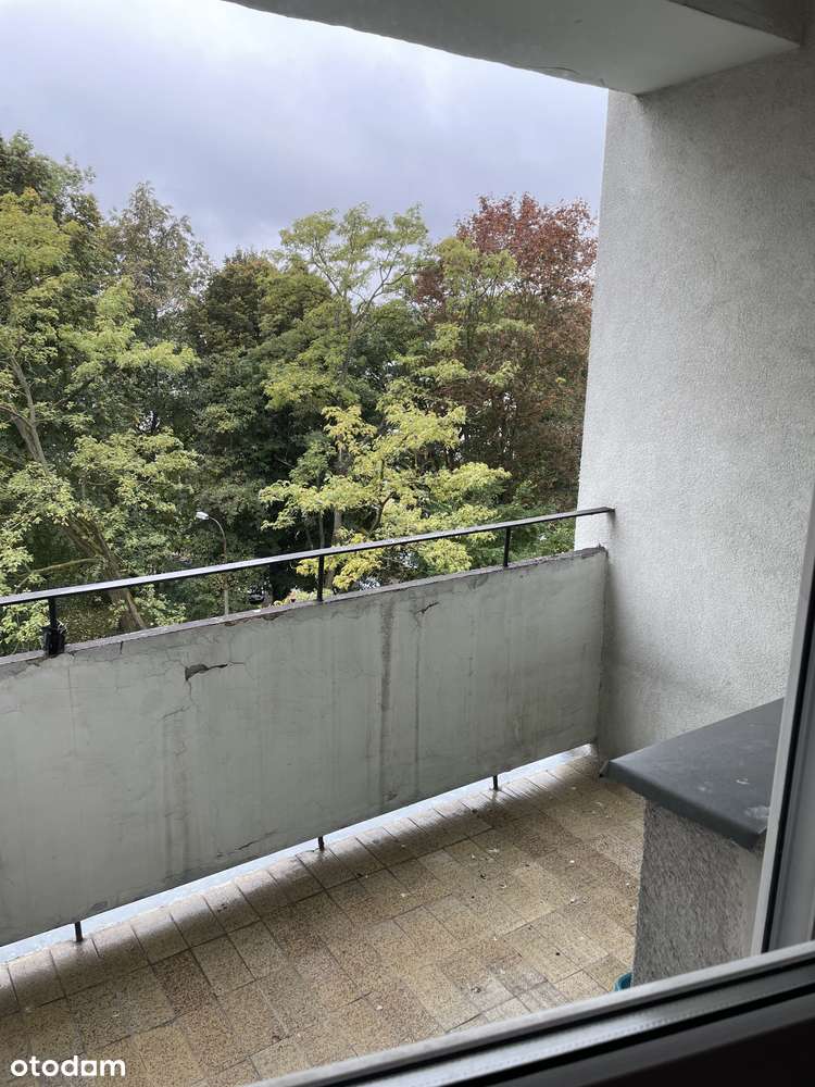 Mieszkanie 46,1 m2, 3 pokoje, balkon. Bezpośrednio. - Pełny obrazek: 4/8