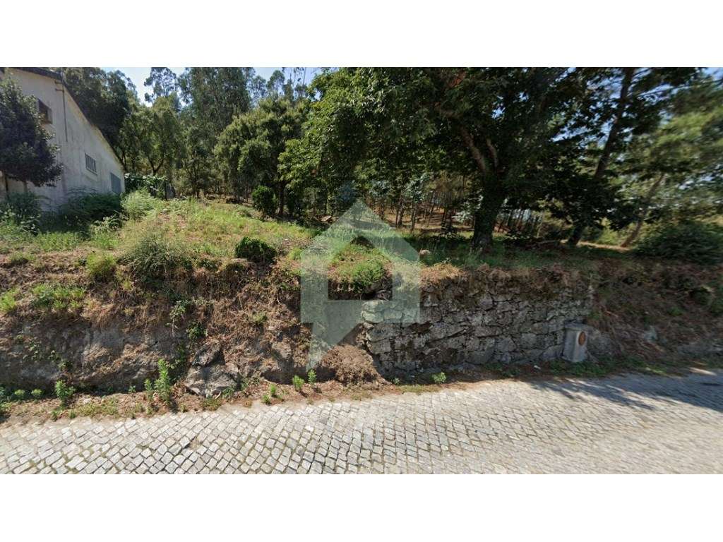Terreno de pinhal em Carvalhal Barcelos - Grande imagem: 2/8