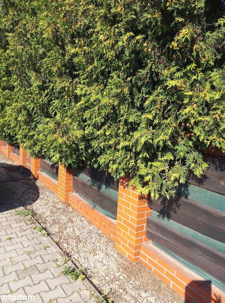 Dwurodzinny dom w Orzechu-11