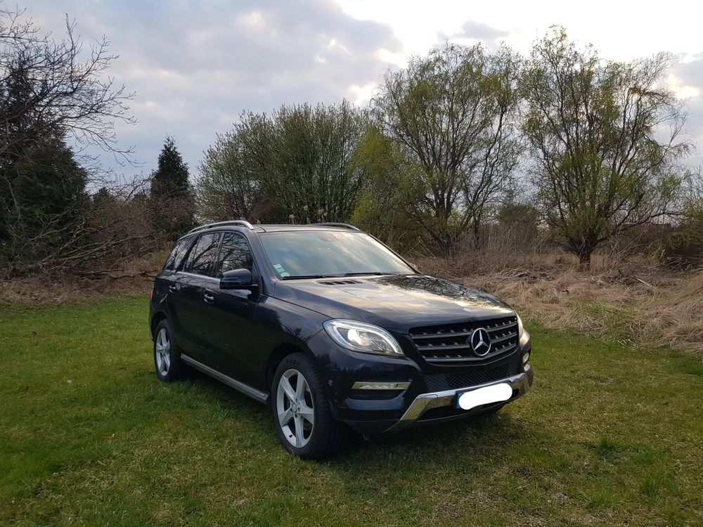 Mercedes-Benz ML W166 250 BlueTEC 4MATIC 7G-TRONIC 2015