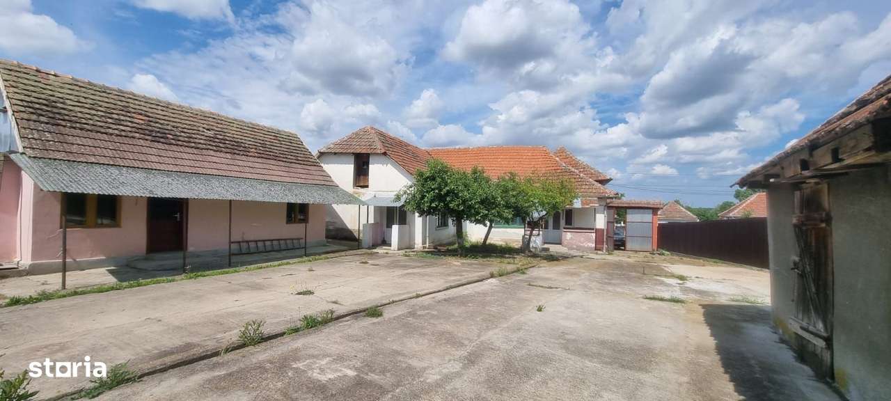 Casă 6 camere, livadă, 3 199 mp, Girisul Negru, Bihor. 35 000 E - Imagine principală: 3/20