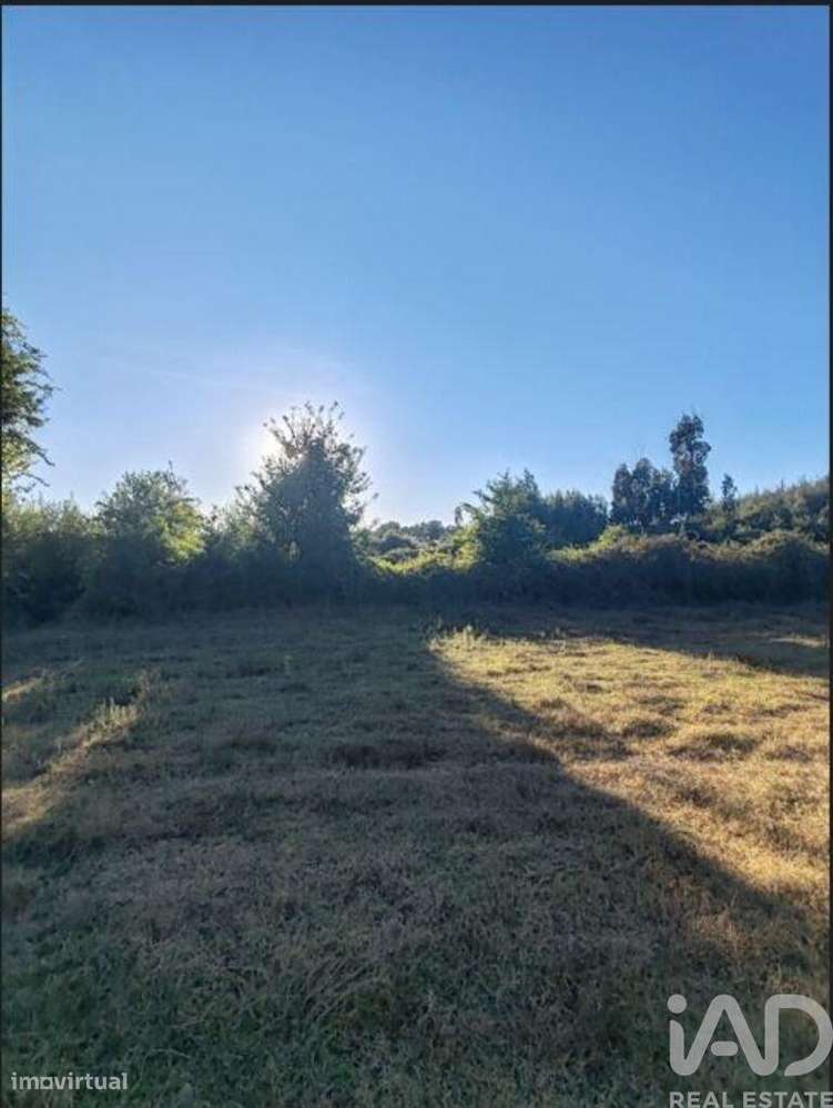 Terreno Agrícola em Seixo da Beira de 31075,00 m2 - Grande imagem: 5/12