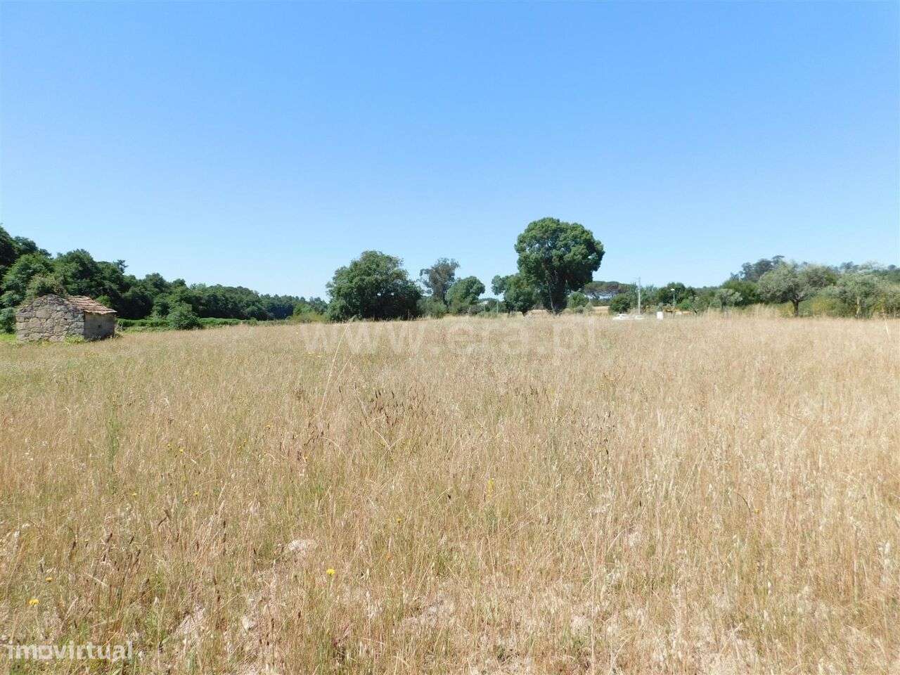 Terreno com ruina / Seia, Pinhanços - Grande imagem: 4/8