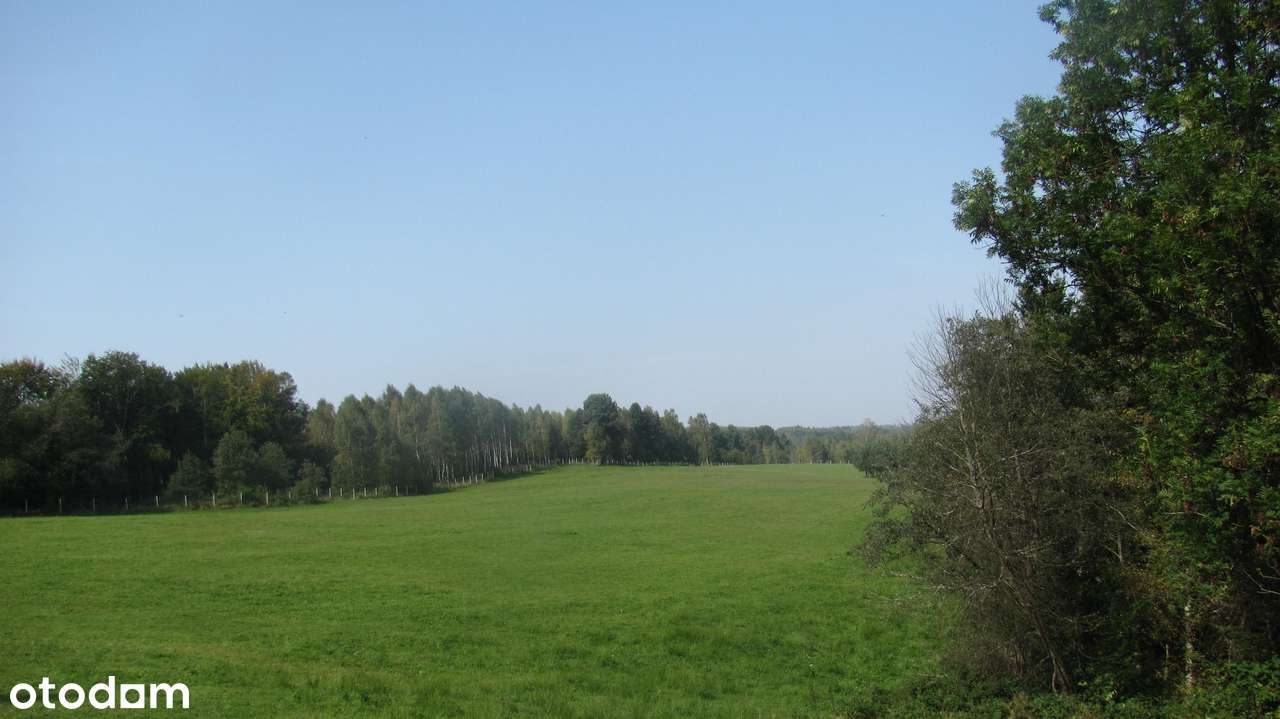 Siedlisko w Bieszczadach-3