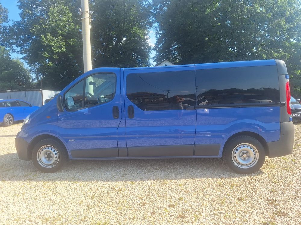 Opel Vivaro I (2001-2014) L2H1 2.9t 2009