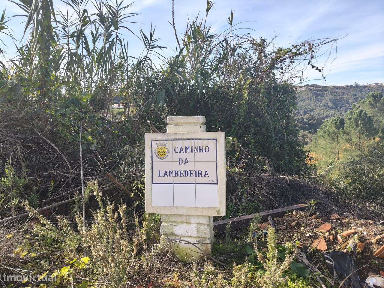 Terreno Rústico – Mafra (Chanca, Sobral da Abelheira) - Grande imagem: 5/11