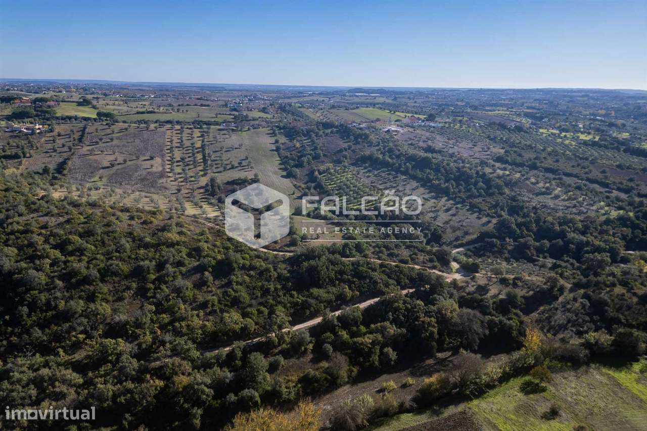 Terreno Para Construção  Venda em Moçarria,Santarém-22