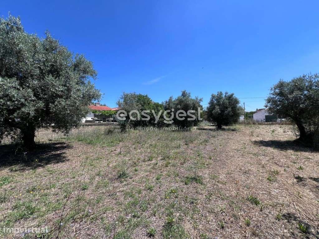 Terreno para construção bem localizado junto a cidade de Tomar - Grande imagem: 5/15