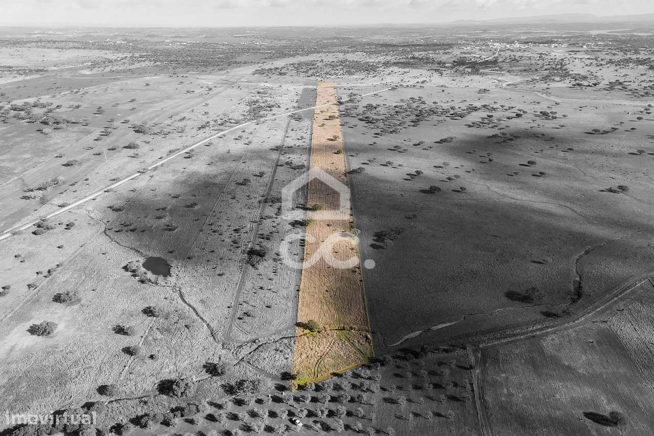 Terreno de 5,4 ha c/ Viabilidade de Construção | Capelins, Alandroal-13