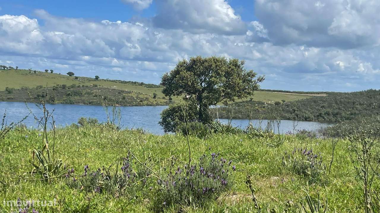 Terreno na Margem Alqueva-9