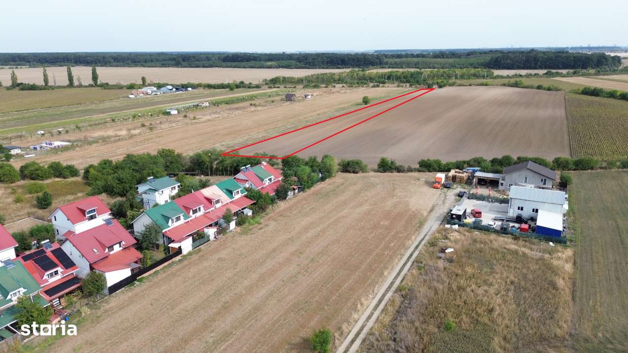 Teren intravilan 6000 mp Darza 13E/mp deal pentru case, ferma, product - Imagine principală: 1/7