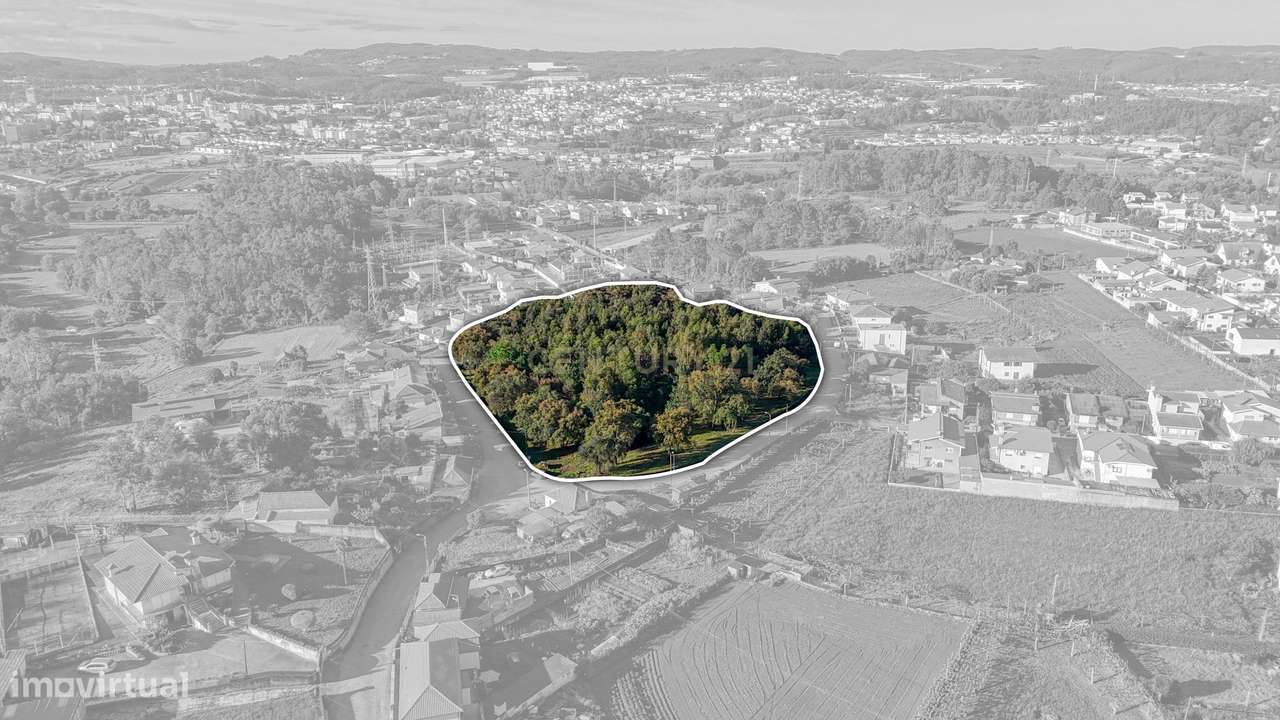 Terreno com 14.000m2  próximo ao Centro de Santo Tirso - Grande imagem: 4/12