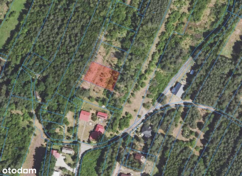 Wyjątkowe działki z WARUNKAMI ZABUDOWY Grochowe k.Mielca - Pełny obrazek: 5/7