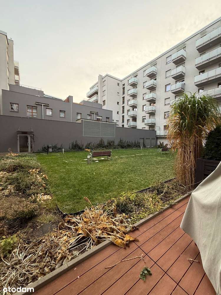 duża kawalerka z tarasem oraz łóżkiem - Pełny obrazek: 5/5