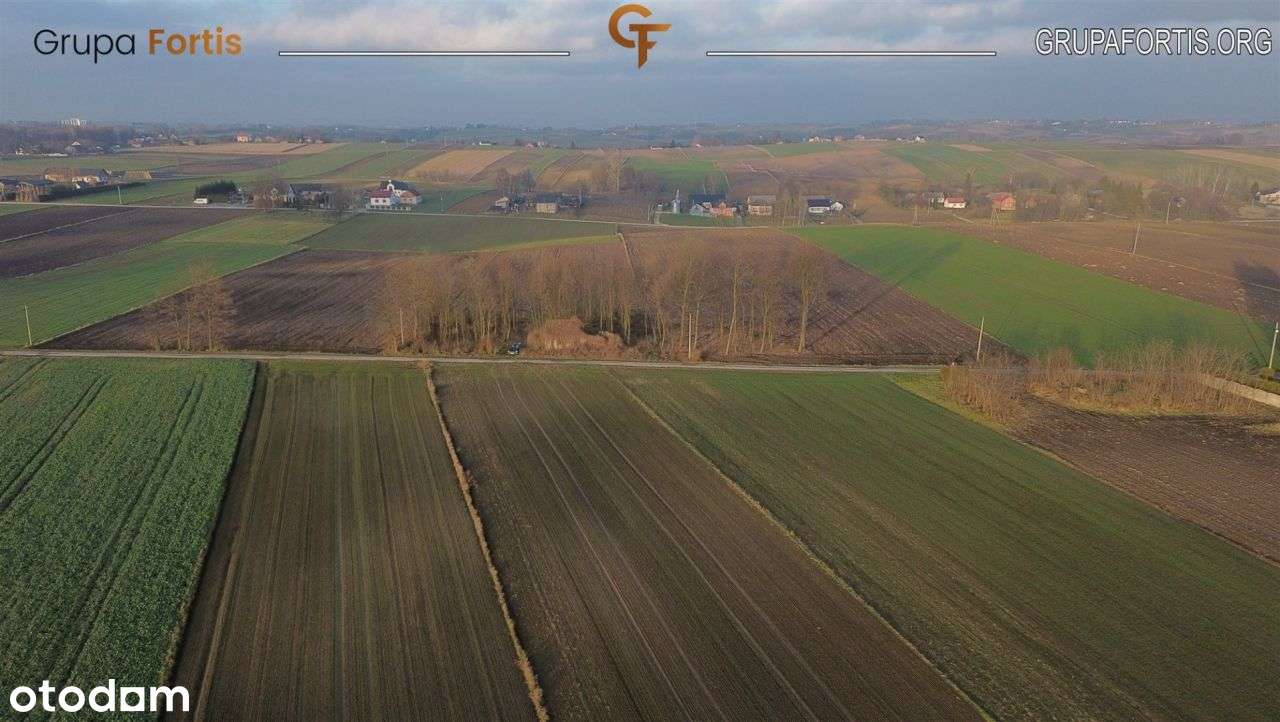 Siedlisko w Wojsławicach | 80 arów | kazimierski - Pełny obrazek: 5/6