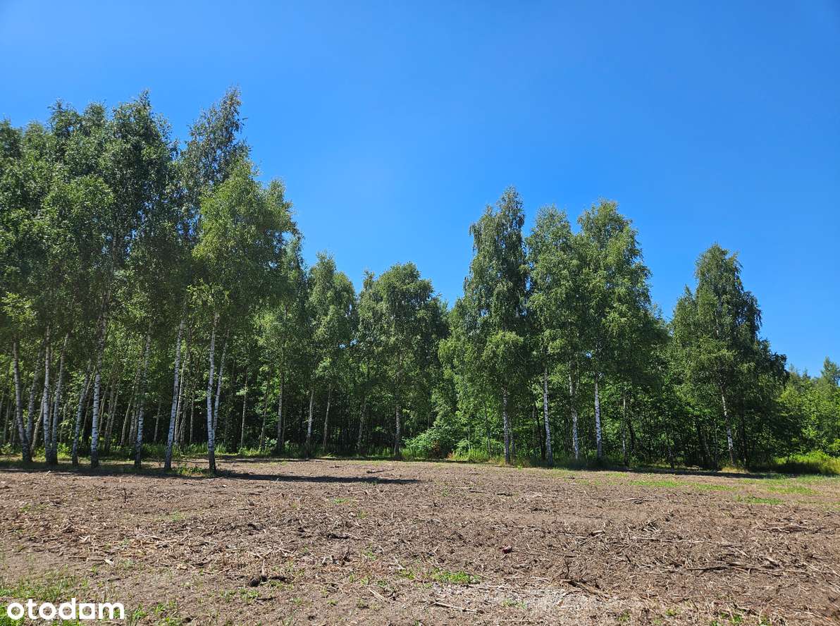 Działka z koncepcją zabudo. PUM 5 645,84 Blizniaki, szeregówki-Tramwaj-7