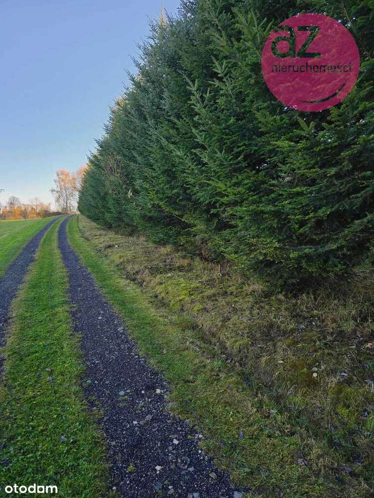 6 działek budowlanych w Stróżówce po 24a-6