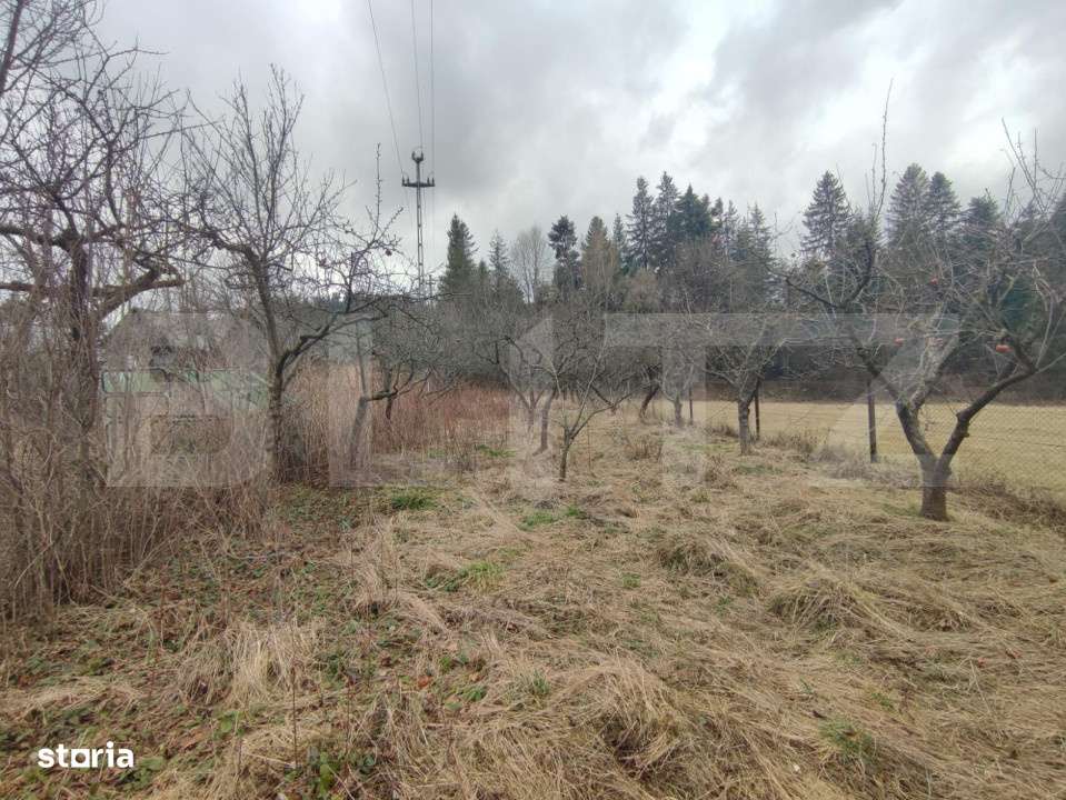 Casa individuala ,2500 mp teren,  in Putna - Imagine principală: 5/18