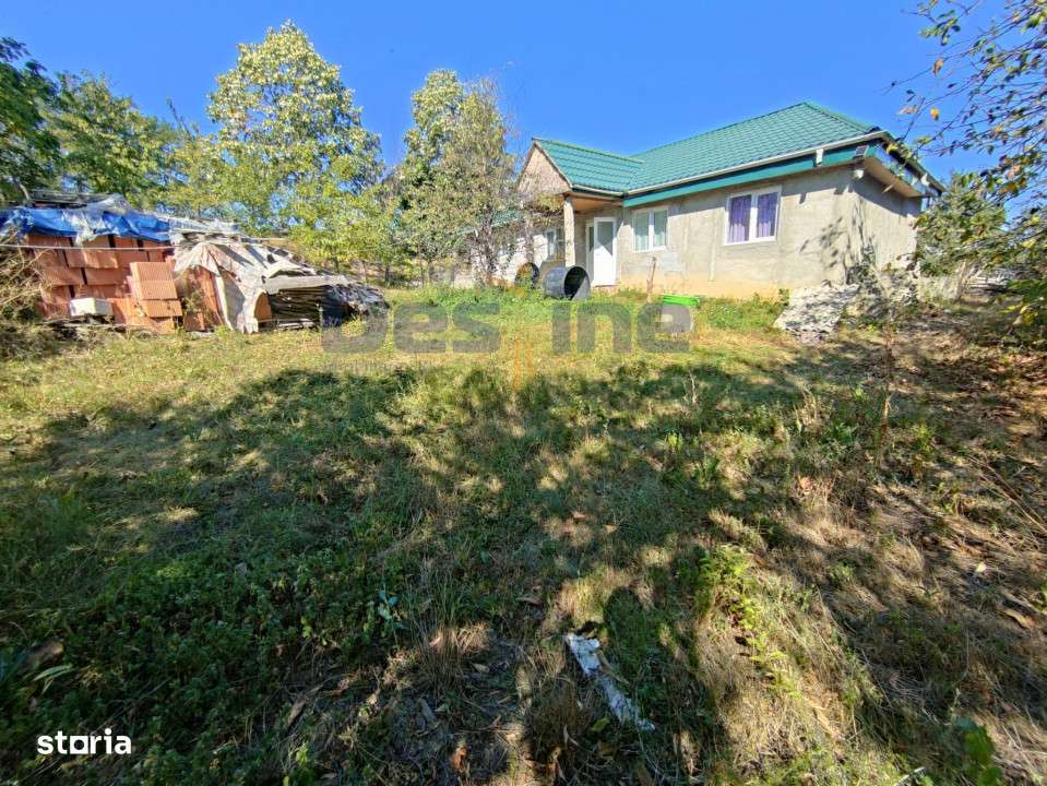 Casa langa PĂDURE + anexe + 6400 mp TEREN intravilan - sat HĂRPĂȘE - Imagine principală: 1/18