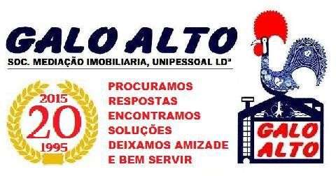 Galo Alto, Lda