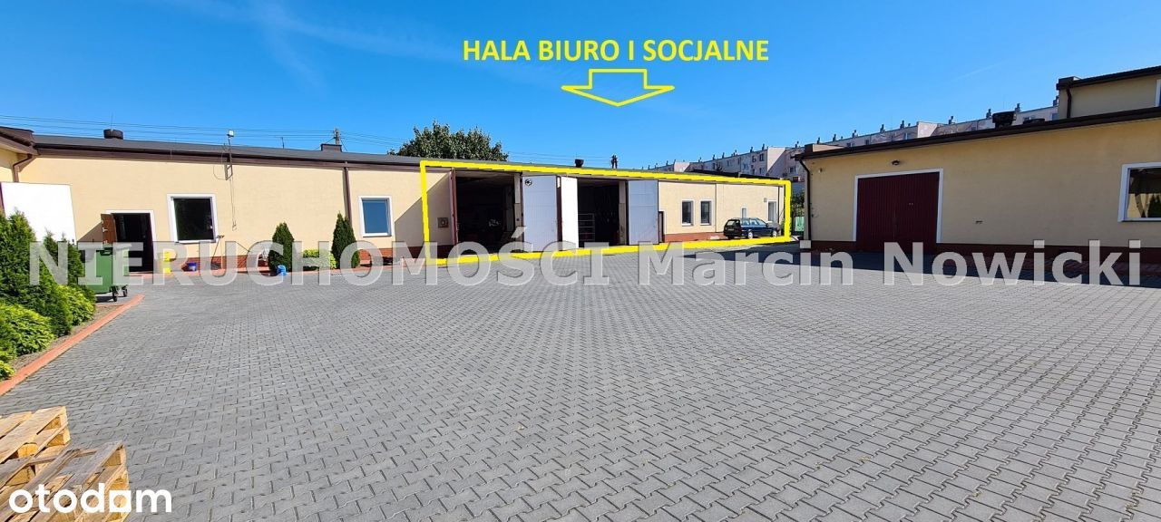 Hala/Magazyn, 350 m², Kutno