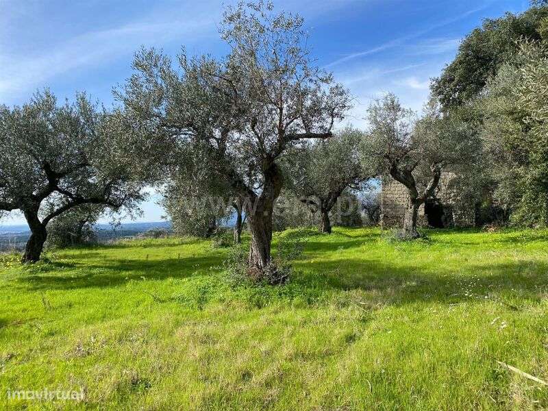 Quintinha / Fundão, Monte Leal - Grande imagem: 1/13