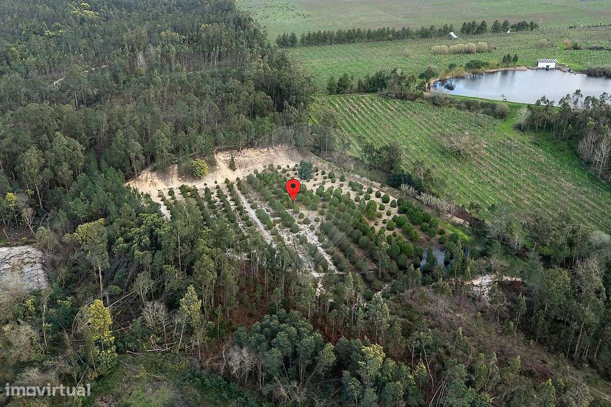 Terreno  para venda - Grande imagem: 4/13