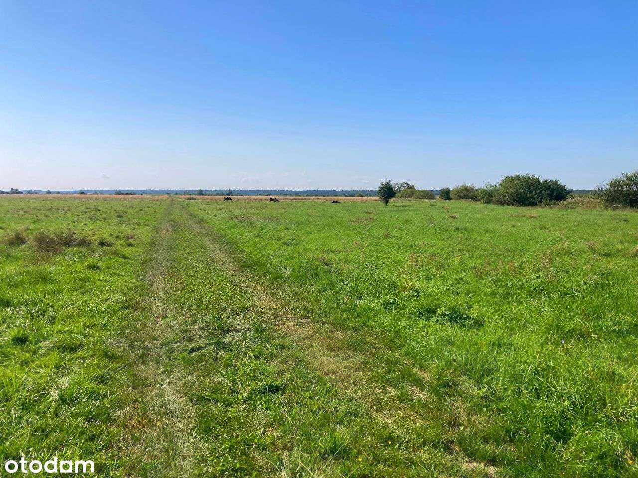 Urokliwa działka Miechowice Małe - Pełny obrazek: 3/10