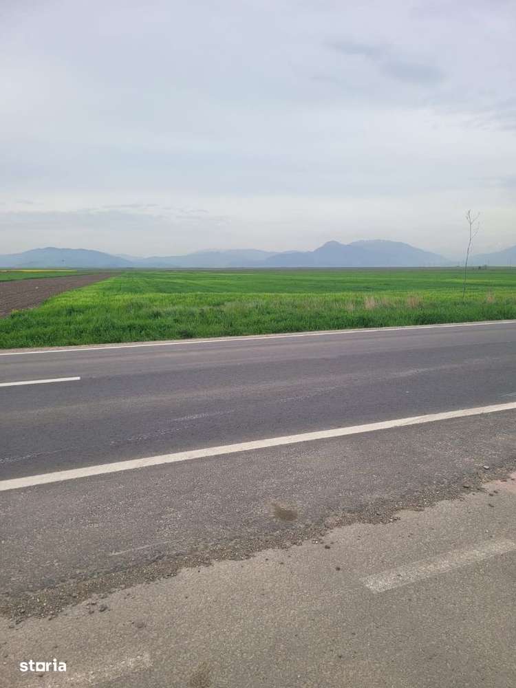 Teren destinatie industrial zona Parc Prejmer - Imagine principală: 4/6